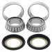 SHERCO  - ALL BALLS STEERING BEARING & SEAL KIT - NO. 22-1024