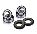 FACTORY LINKS HEAD BEARING KIT SHERCO